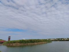 -春花秋色城市公园