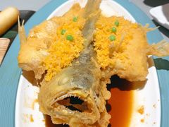 -大鸽饭(体育西路店)