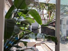 -阿鹏故事云南野生菌火锅(人民路店)