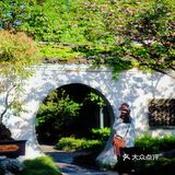 游宁波「景」令人流连忘返富有历史底蕴和人文景观的城市湖泊公园