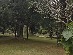 -南宁南湖公园