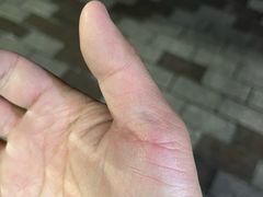 -上海新锦江大酒店