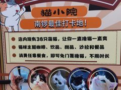 -猫小院猫主题餐厅(南锣旗舰店)