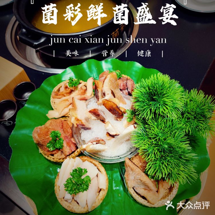 🍄野生菌的味觉奇迹！真的让你不敢相信这味道来自大自然🌲