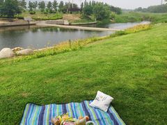 -羊亭河湿地公园