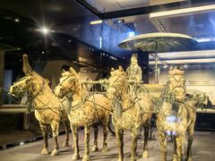 -秦始皇帝陵博物院-丽山园