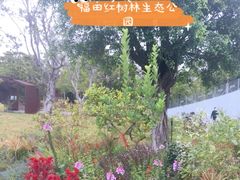 -福田红树林生态公园