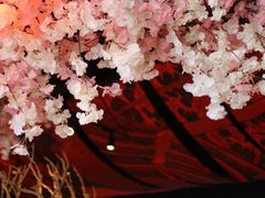 -石葵(锦业时代店)