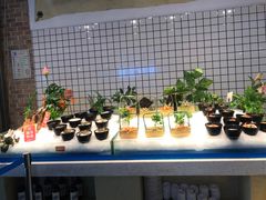 -海天盛宴新派海鲜自助餐厅(群力店)