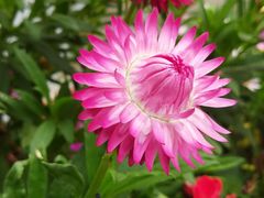 -龟山风景区-龟山电视塔