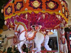 -拉斯维加斯永利酒店