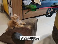 -芭比堂动物医院广州顽皮分院