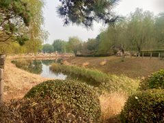 -莫子山公园