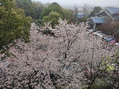 -天目湖御水温泉·度假酒店