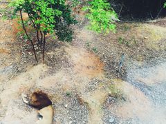 -泉州海丝野生动物世界