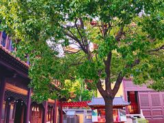 -亭林园-华藏寺