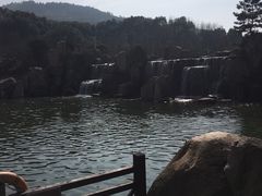 -白马涧龙池景区