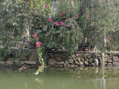 -美的鹭湖探索王国