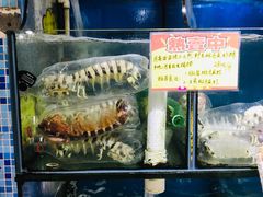水产区-蚝专家(北滘店)