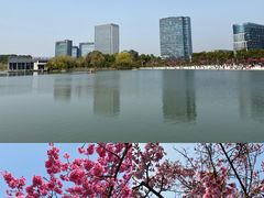 -大宁公园
