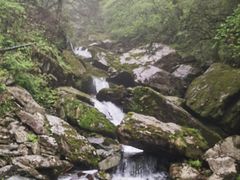 -神农架景区