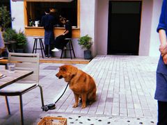 -RAC BAR(安福路店)