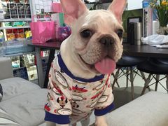 -1013 PET SHOP 宠物商店(近铁城市广场店)