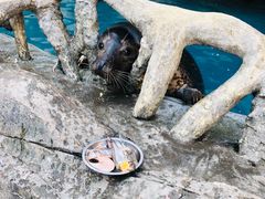 -华夏文旅海洋公园