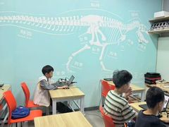 -斯坦星球AI编程·机器人科创·乐高科学·信奥·思维·专注力·STEM·竞赛考级(高新区绿宝广场龙湖狮山天街学习中心)