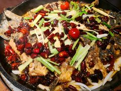 老板恋上鱼-老板恋上鱼(环山路店)