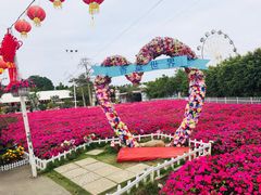 -广东花都香草世界旅游度假区