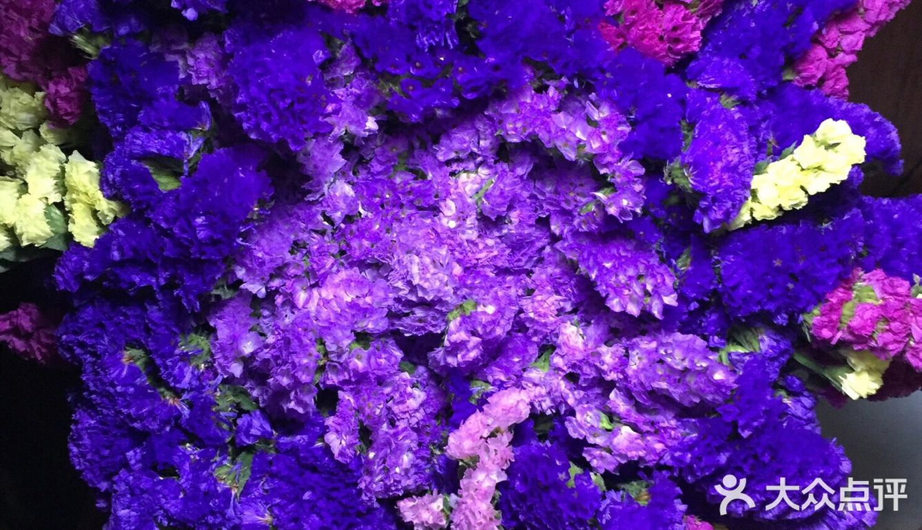 有浅粉色的玫红色的淡紫色的深紫色的