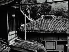 -峨眉山报国寺