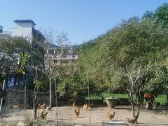 -寒岩夕照农家乐