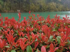 -东钱湖旅游度假区