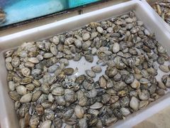 -东极岛海鲜