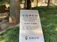 -苏州河梦清园环保主题公园