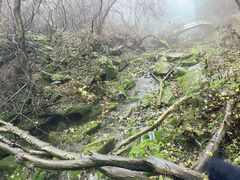 -西安祥峪森林公园