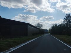 -盐城丹顶鹤湿地生态旅游区