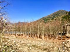 -东海大峡谷