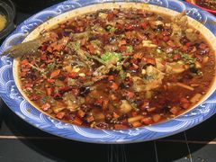 -新概念来凤鱼(璧山店)
