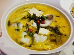 -鱼你在一起(新森兰花园城店)
