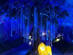 -栾川竹海野生动物园