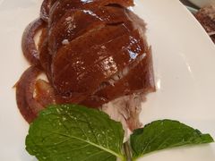 鸭匠果木烤鸭-鸭匠食府·挂炉烤鸭·新京菜(阜成路店)