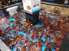 -盒马鲜生(曜一城店)