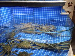 -贡宴盐帮菜自贡驻京联络处餐厅
