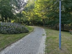 -莫子山公园