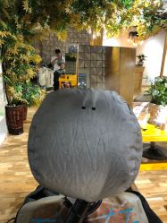 -明洞造型精品烫染