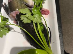 -蘸小院铁锅炖·蘸酱菜·东北菜(怀远门店)
