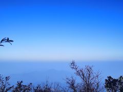 -江西阳明山国家森林公园